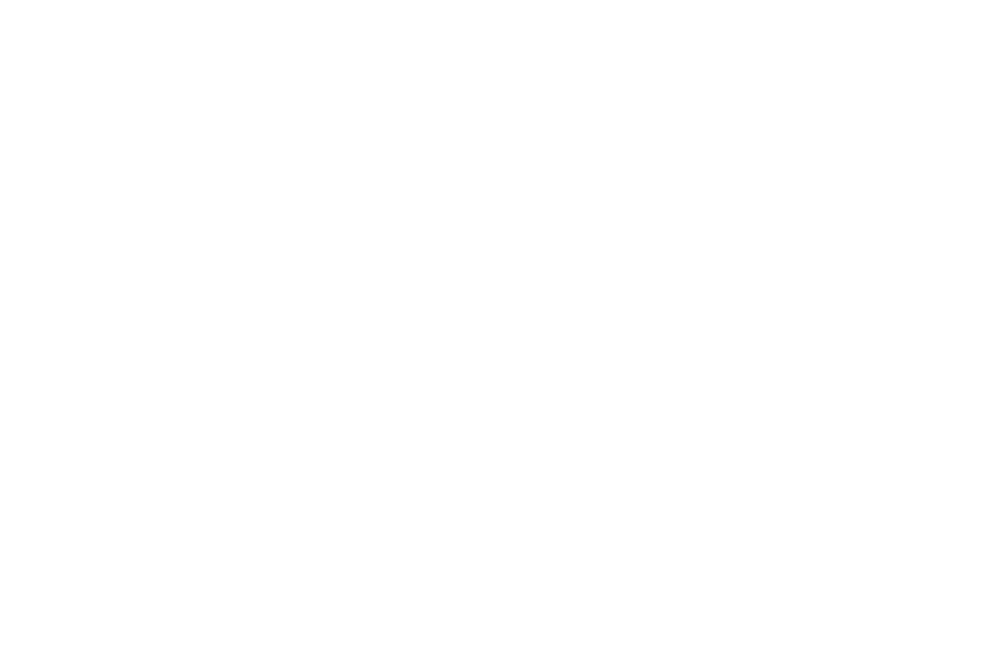 Homevision logo weiss ohne hintergrund
